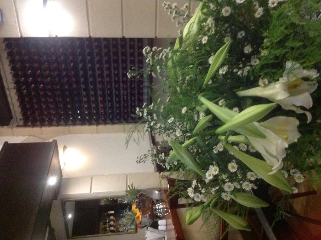 Apollo Hotel Johannesburg Zewnętrze zdjęcie